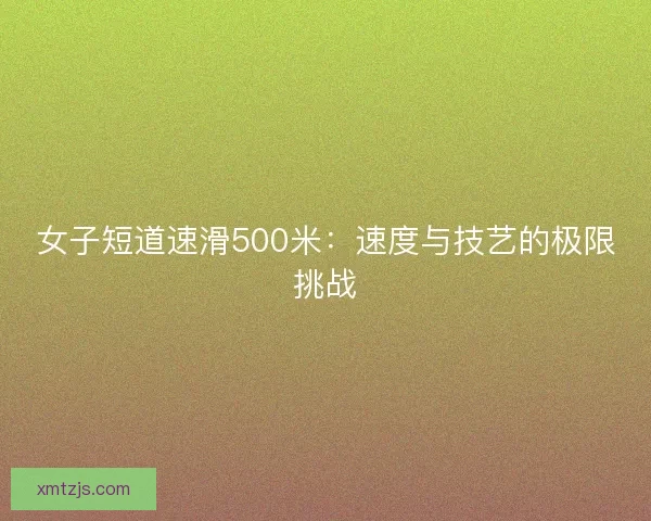女子短道速滑500米：速度与技艺的极限挑战